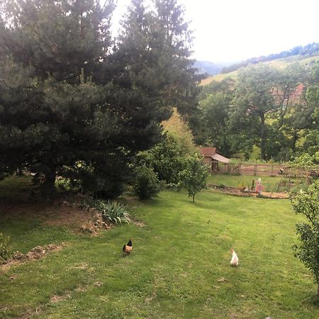 Gites De Gobertier Saint-Alban-d'Ay Esterno foto