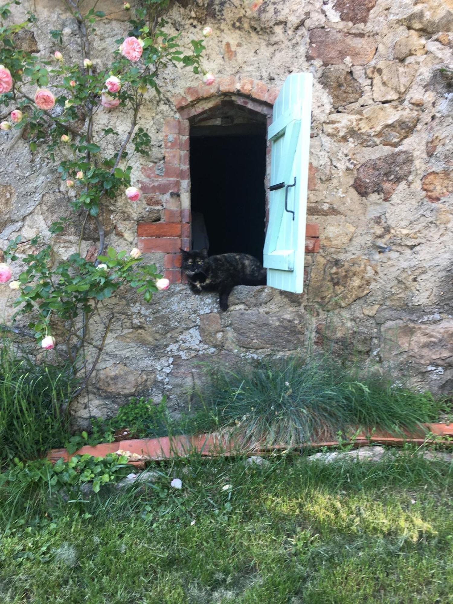 Gites De Gobertier Saint-Alban-d'Ay Esterno foto